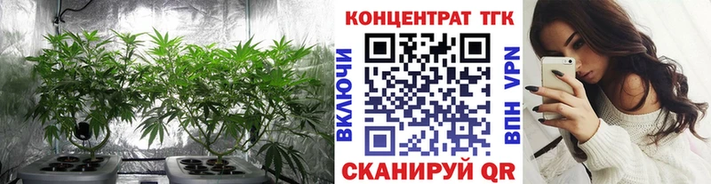 Дистиллят ТГК THC oil  где купить наркоту  Поворино 