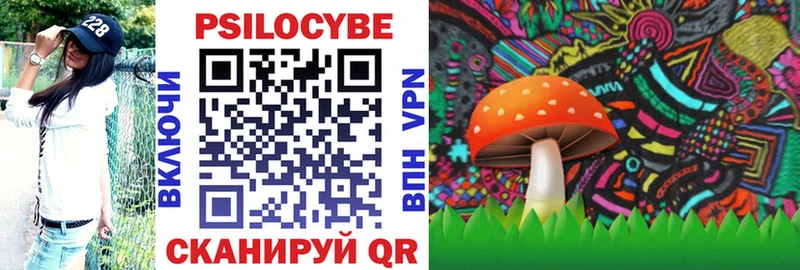 где продают   Поворино  Псилоцибиновые грибы Psilocybine cubensis 